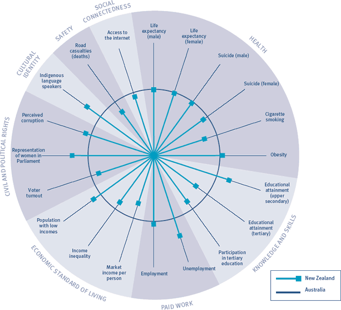 Pie chart comparing social wellbeing in New Zealand with the OECD. 